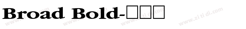 Broad Bold字体转换